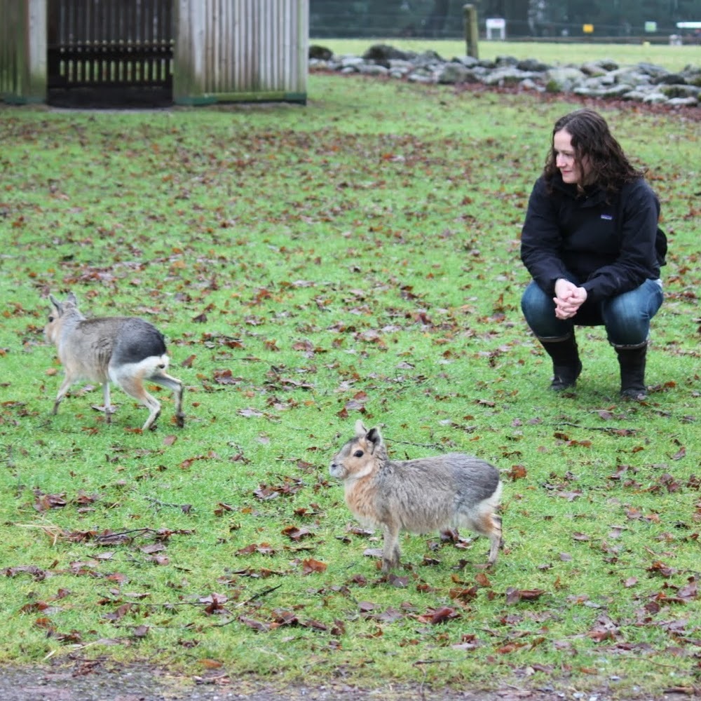 Meet your Posher, Sarah elishe